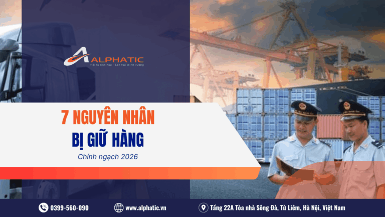 Vận Chuyển Hàng Chính Ngạch Có Bị Hải Quan Giữ Không 7 Nguyên Nhân Phổ Biến Nhất 2026